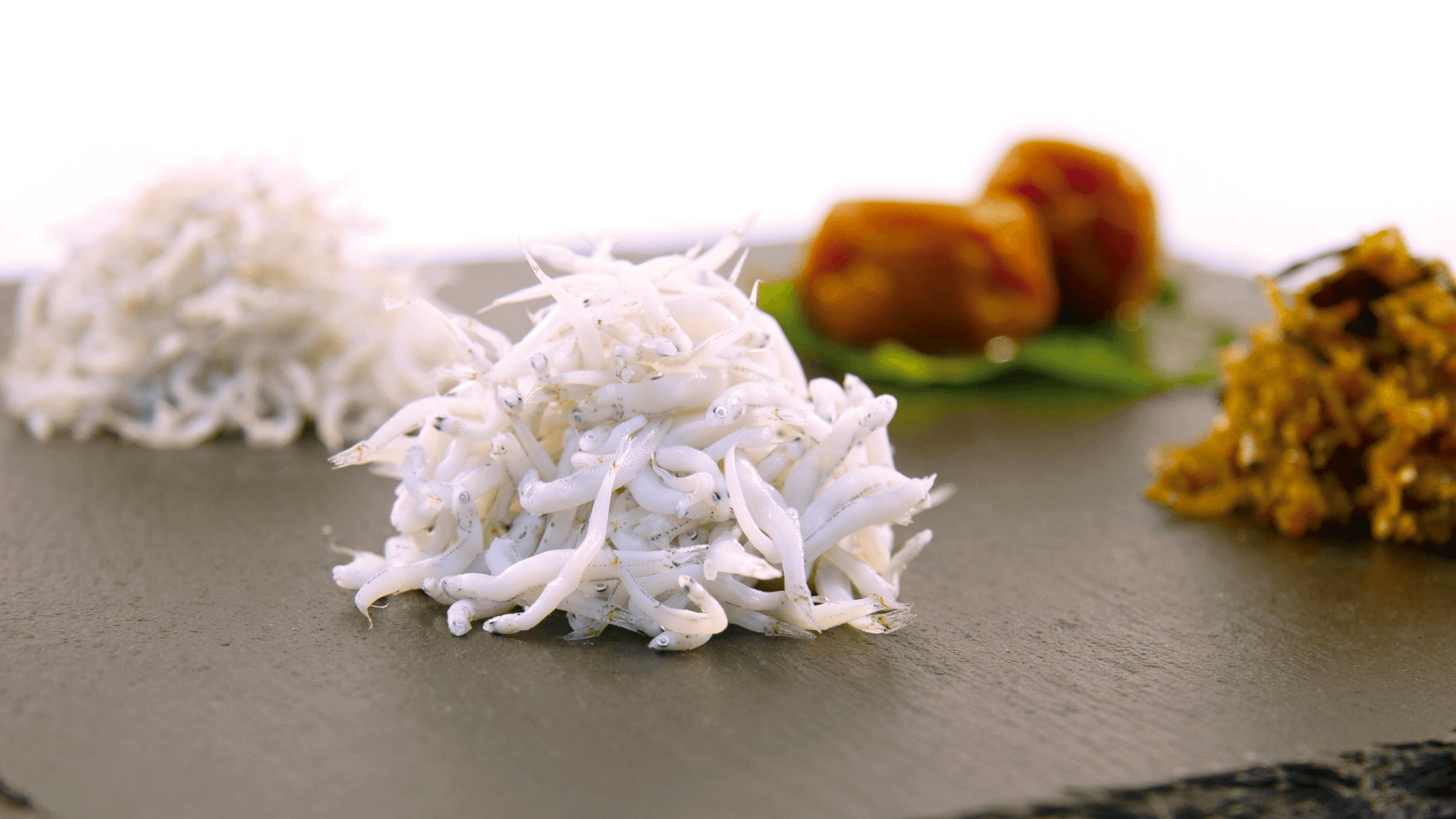 しらす 漁師 直売所 和歌山 | やぶ新